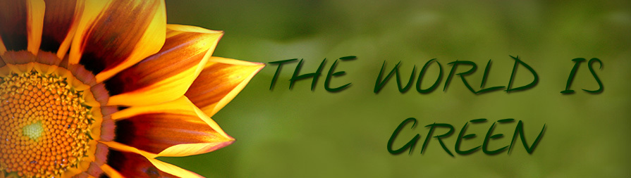 the-world-is-green-katz-qzine